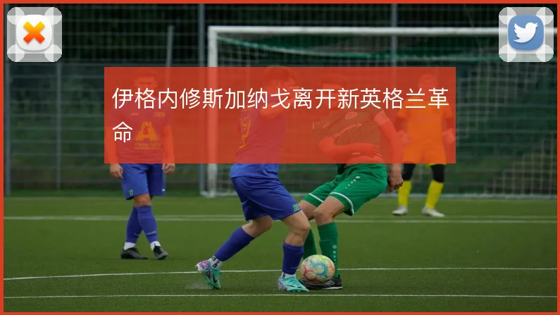 伊格内修斯加纳戈离开新英格兰革命