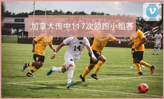 加拿大传中117次领跑小组赛