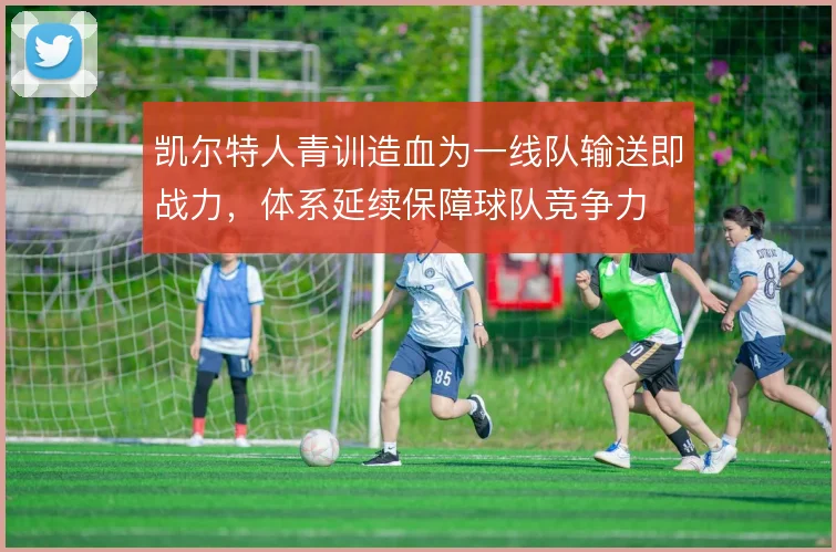 凯尔特人青训造血为一线队输送即战力，体系延续保障球队竞争力